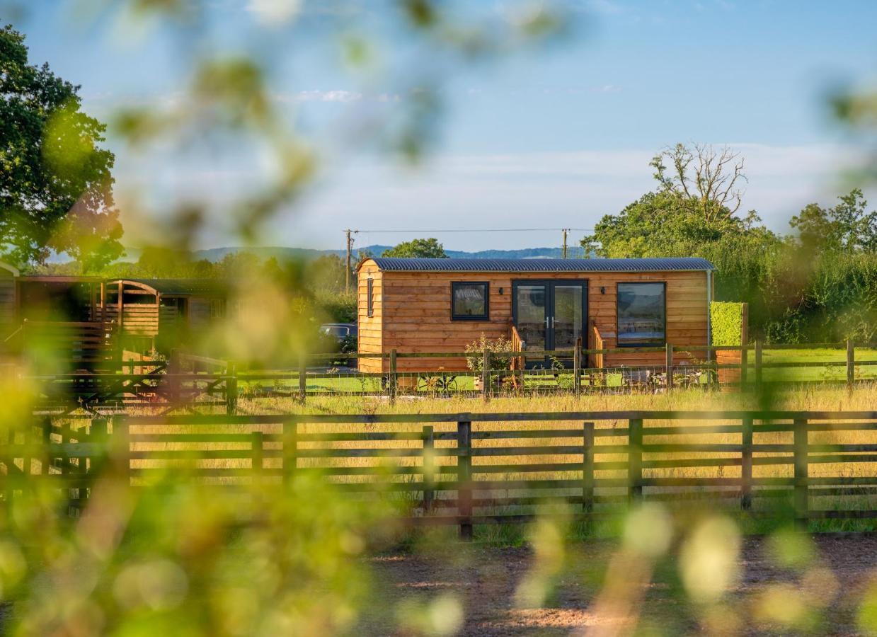 فندق Abberley Shepherds Hut - Ockeridge Rural Retreats Wichenford المظهر الخارجي الصورة