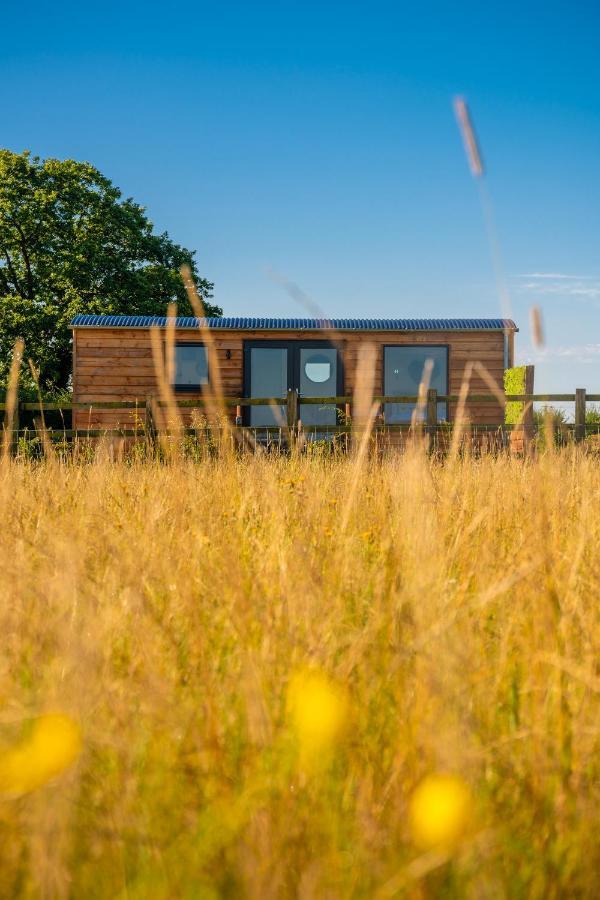 فندق Abberley Shepherds Hut - Ockeridge Rural Retreats Wichenford المظهر الخارجي الصورة