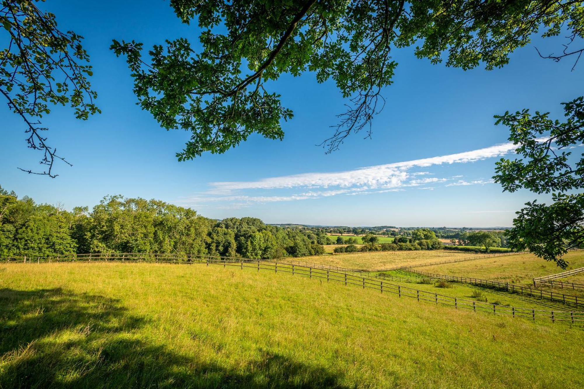 فندق Abberley Shepherds Hut - Ockeridge Rural Retreats Wichenford المظهر الخارجي الصورة